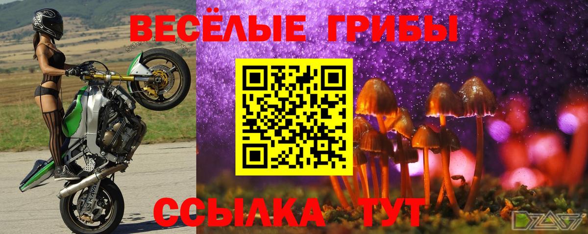 Галлюциногенные грибы GOLDEN TEACHER  Вход с VPN  Керчь 